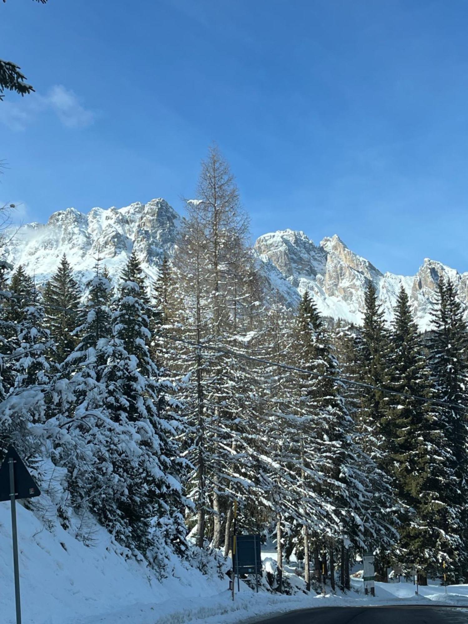 Chalet Delle Dolomiti 皮耶韦迪卡多雷 外观 照片