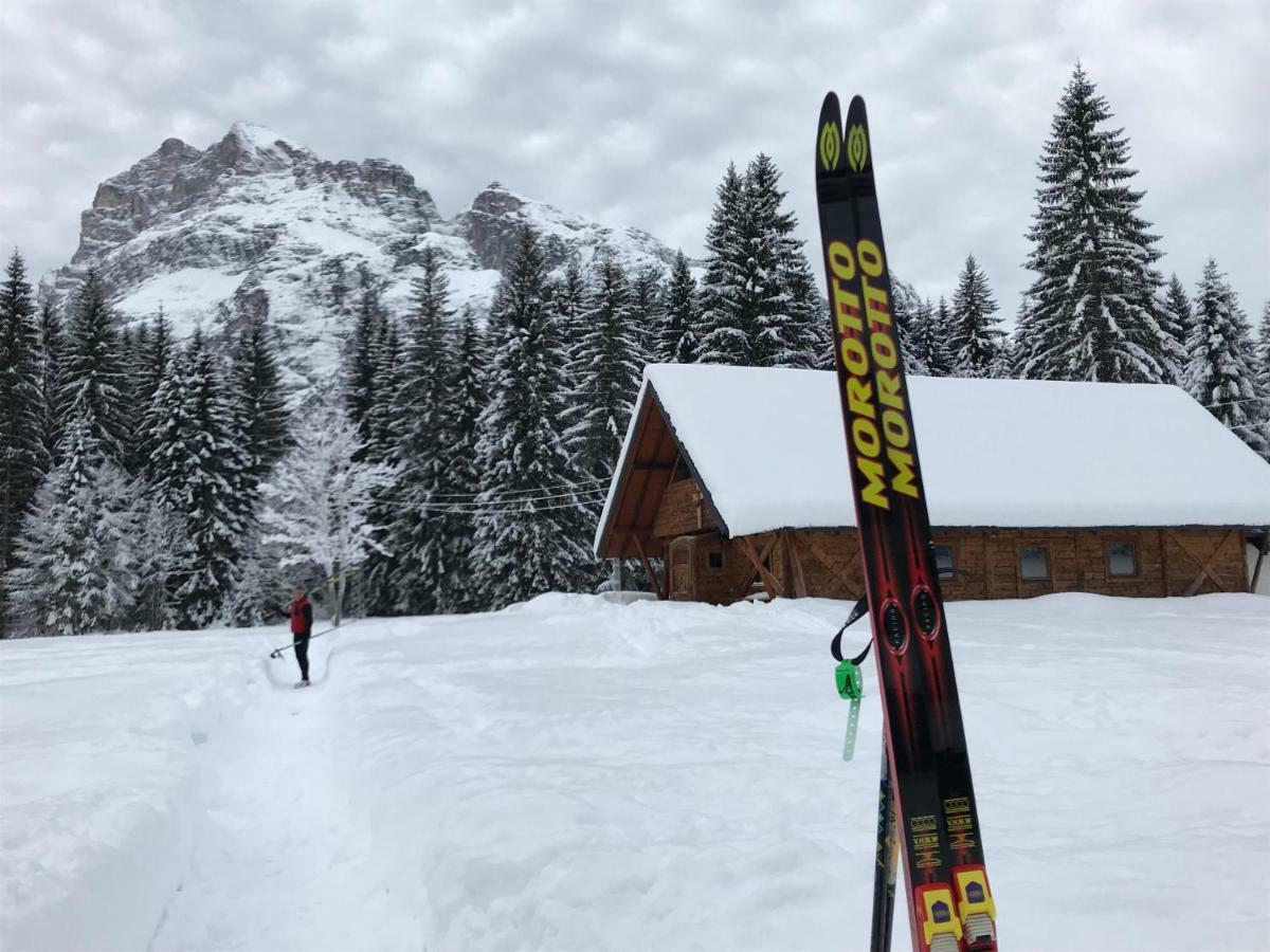 Chalet Delle Dolomiti 皮耶韦迪卡多雷 外观 照片
