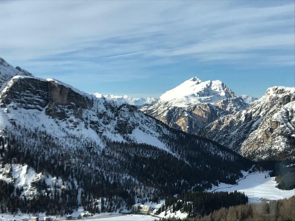 Chalet Delle Dolomiti 皮耶韦迪卡多雷 外观 照片